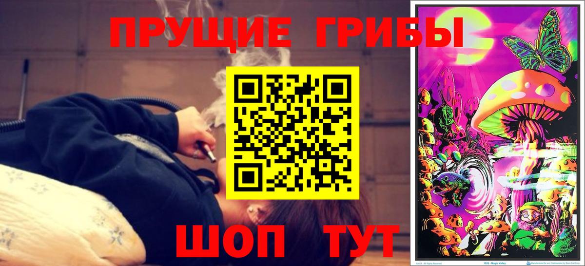 Галлюциногенные грибы Cubensis Спасск-Дальний